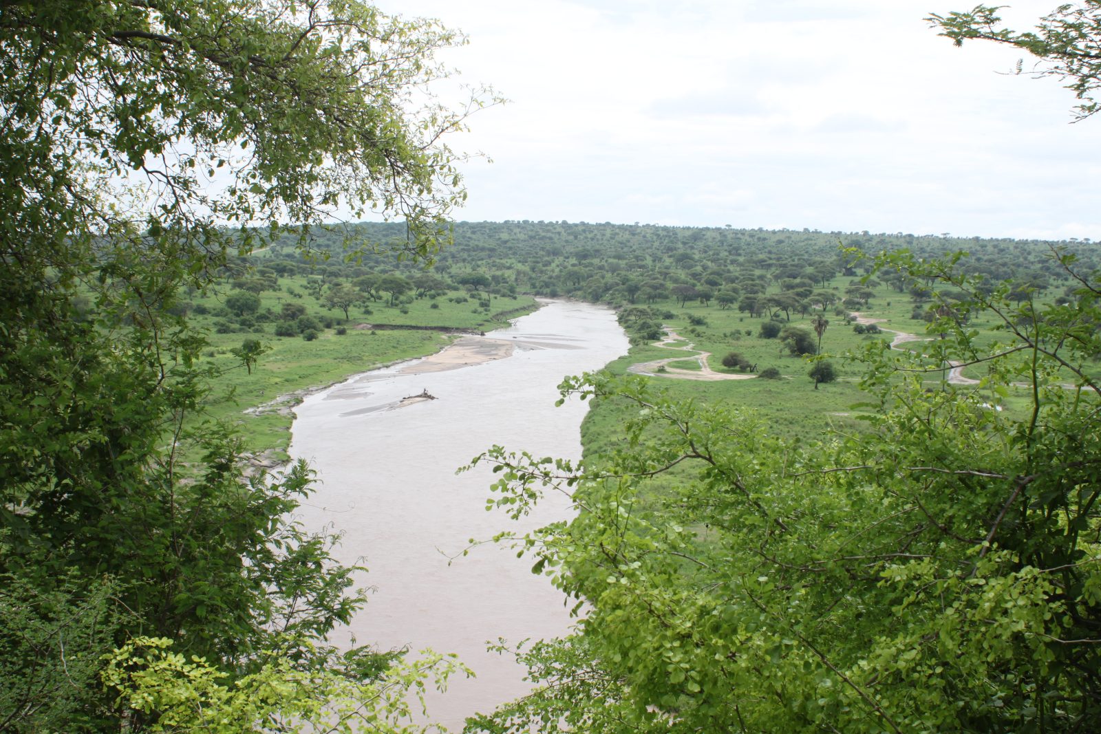 Nyerere National Park destination image