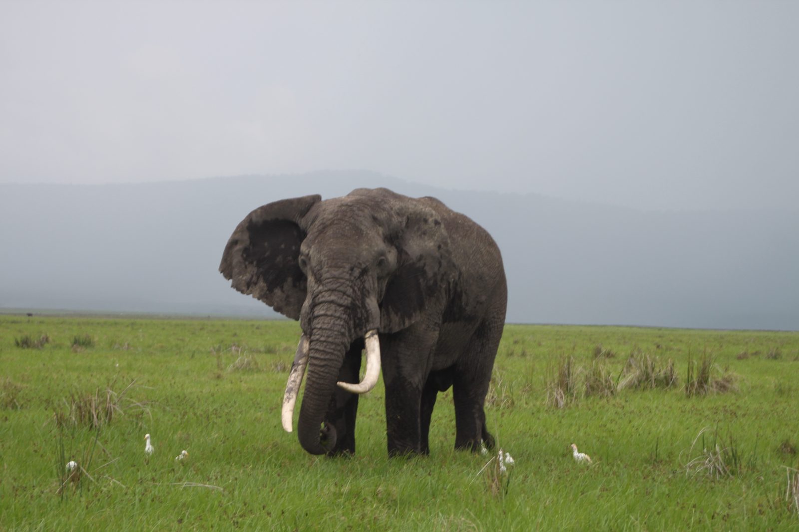 Serengeti National Park destination image