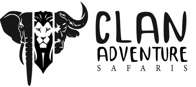 Clan Adventure dark logo