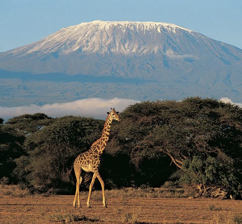 Kilimanjaro destination image